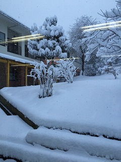 2015雪景色.jpg