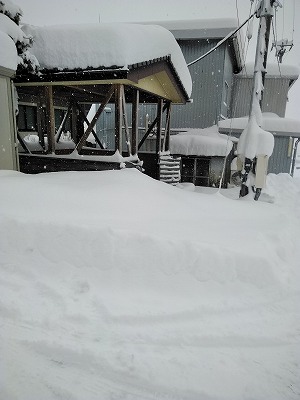 2018大雪写真 (1).jpg