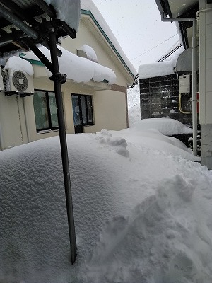 2018大雪写真 (2).jpg