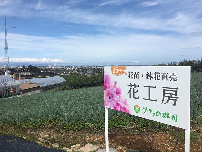 看板　大.jpg